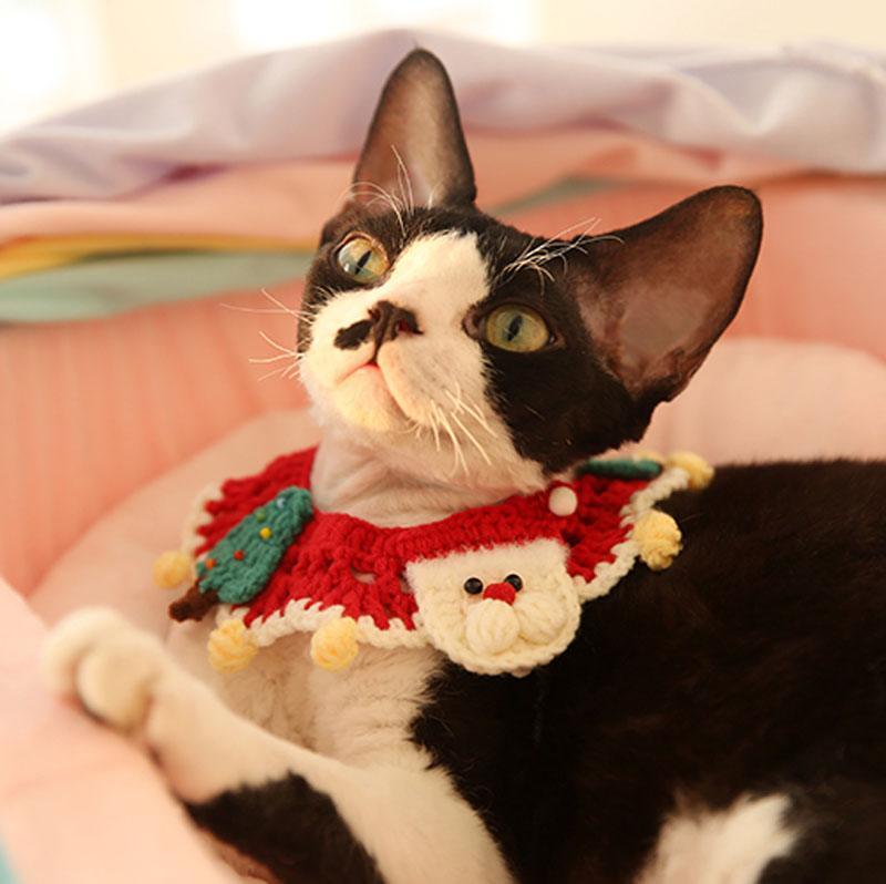 Catvera Christmas Holiday Cat Collar - Image 10|||PROMPT|||Original clean product image
