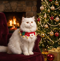 Catvera Christmas Holiday Cat Collar - Main Product Image