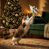 Catvera Christmas Holiday Feather Teaser Wand - Main Product Image