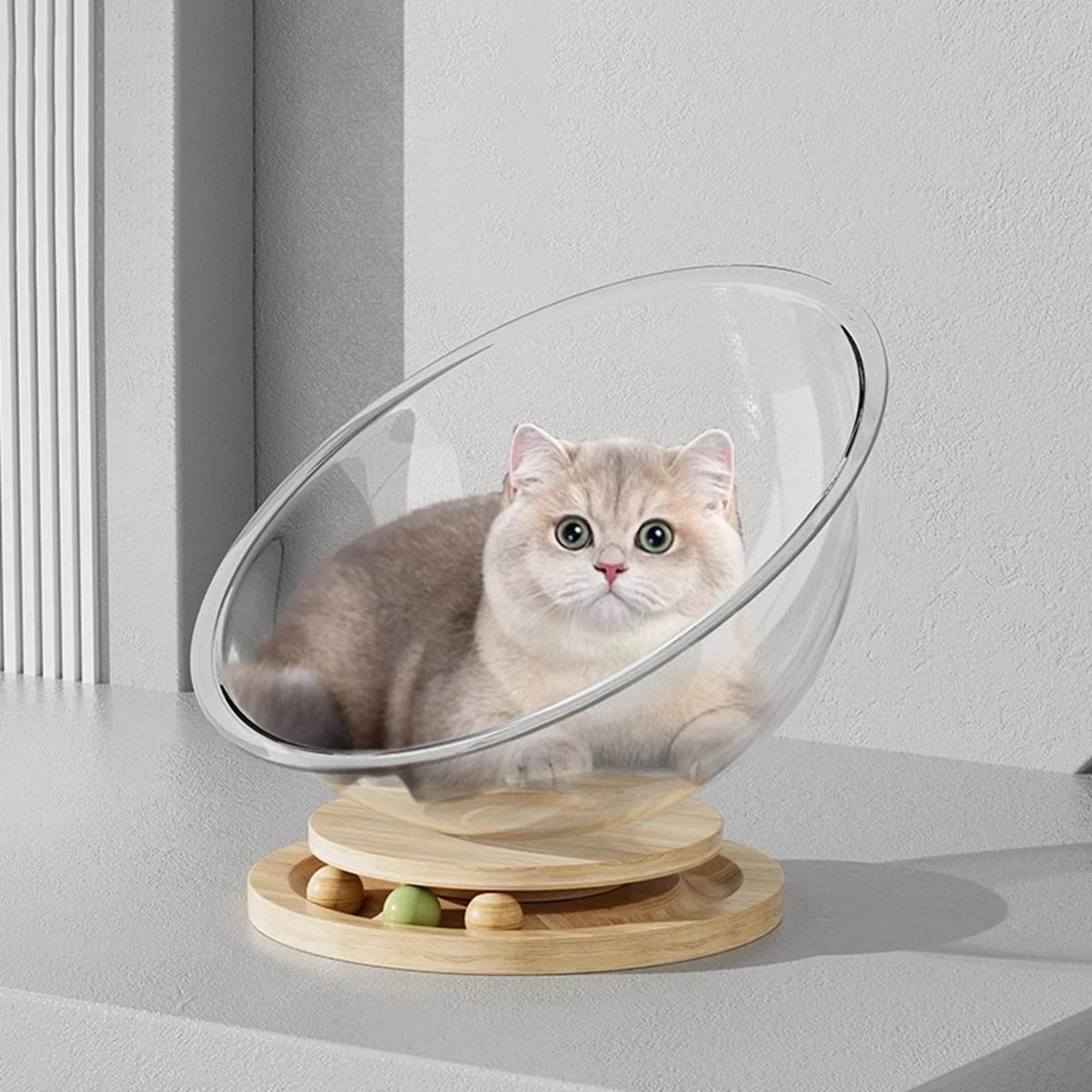 Catvera Clear Capsule Cat Bed - Image 3|||PROMPT|||Original clean product image