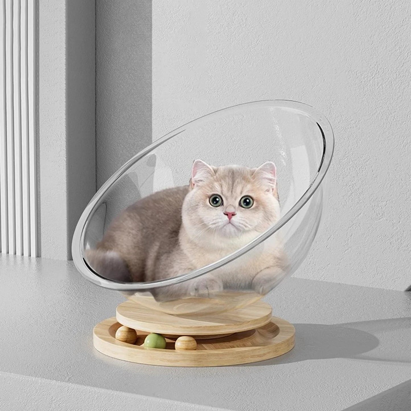 Catvera Clear Capsule Cat Bed - Image 3|||PROMPT|||Original clean product image