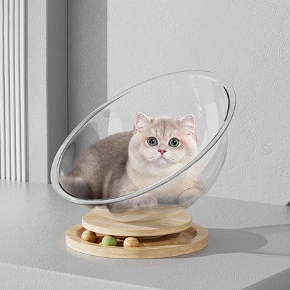 Catvera Clear Capsule Cat Bed - Image 3|||PROMPT|||Original clean product image