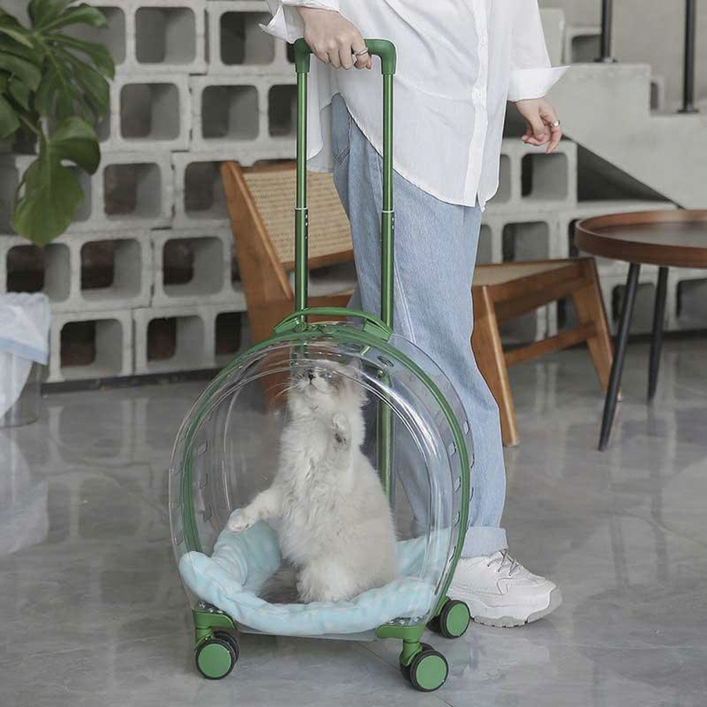 Catvera Clear Wheeled Cat Trolley - Image 15|||PROMPT|||Cleaned image. Original analysis: Found 1 brand logo on the person's shoe (LA Dodgers logo visible on white sneaker)