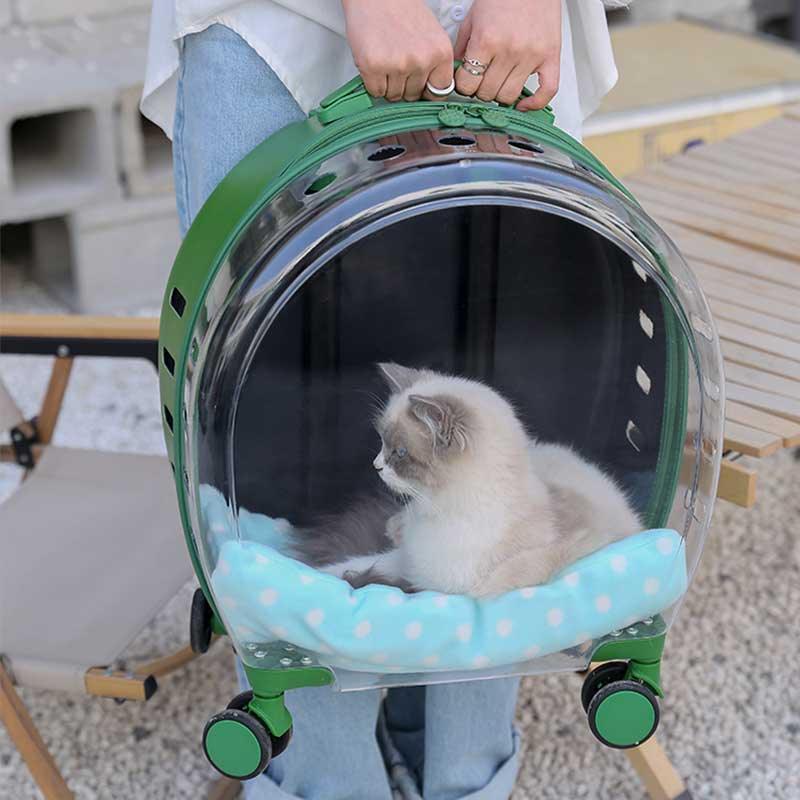 Catvera Clear Wheeled Cat Trolley - Image 18|||PROMPT|||Original clean product image