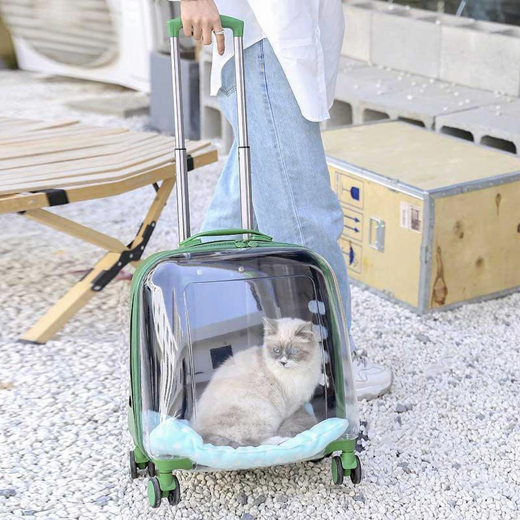 Catvera Clear Wheeled Cat Trolley - Image 9|||PROMPT|||Cleaned image. Original analysis: found 1 meme text watermark 'MEWCATS' in the top left corner