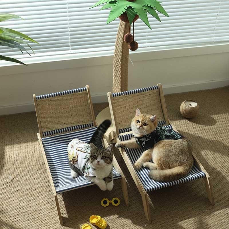 Catvera Coconut Cat Tree Bed - Image 6|||PROMPT|||Original clean product image