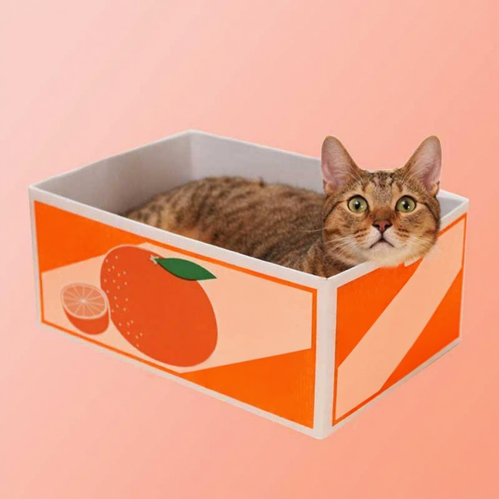 Catvera Corrugated Cat Scratcher Bed - Image 7|||PROMPT|||Original clean product image