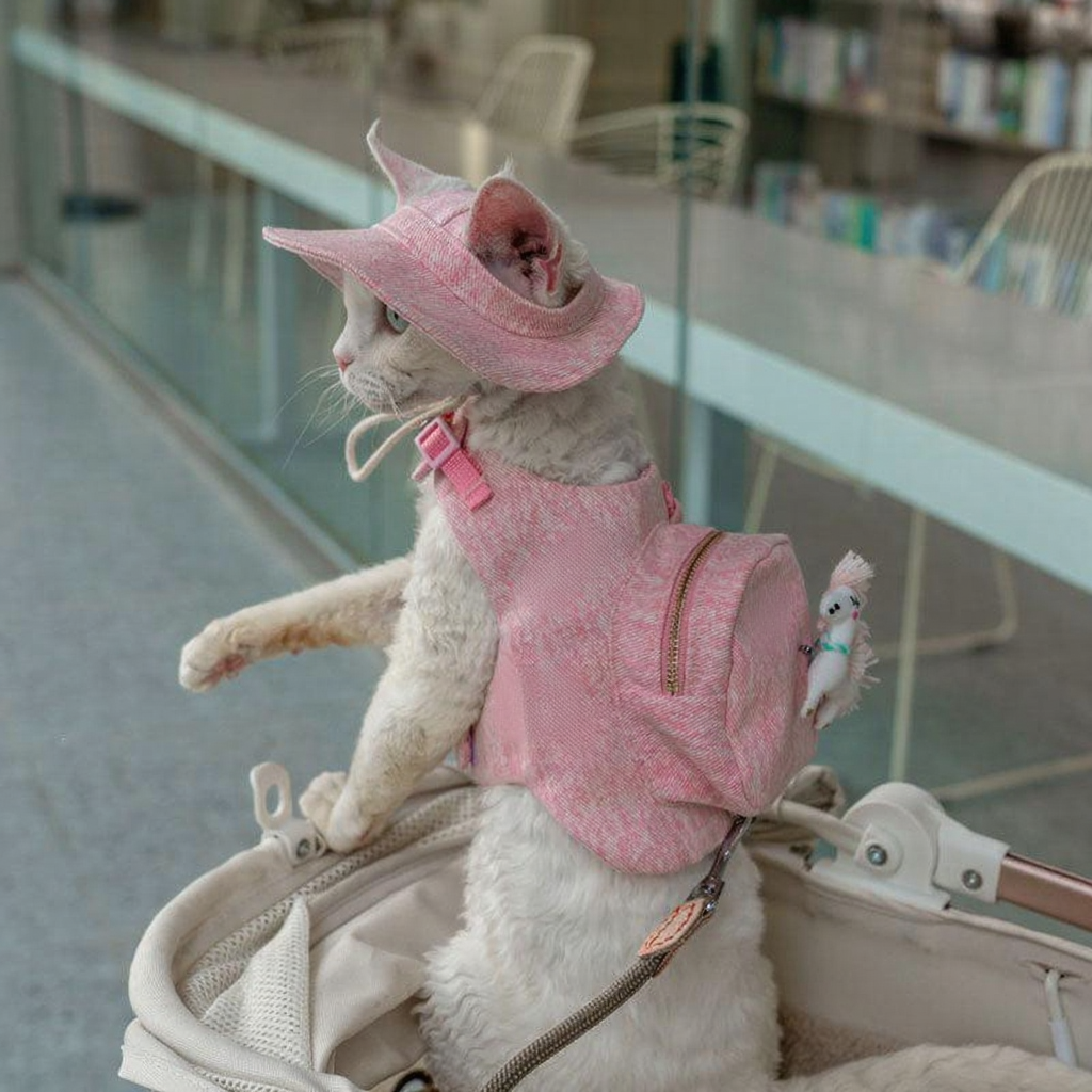 Catvera Cowboy Cat Harness Hat Set - Image 1|||PROMPT|||Cleaned image. Original analysis: Found brand name 'Keep Smile' printed on the pink harness/vest worn by the cat, and a small decorative toy with branding attached to the carrier