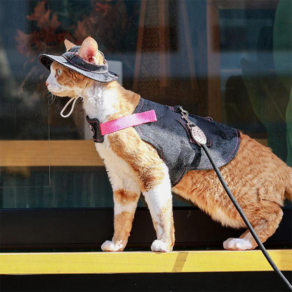 Catvera Cowboy Cat Harness Hat Set - Image 11|||PROMPT|||Cleaned image. Original analysis: Found 1 brand logo on the harness/vest and 1 partial watermark in the background window