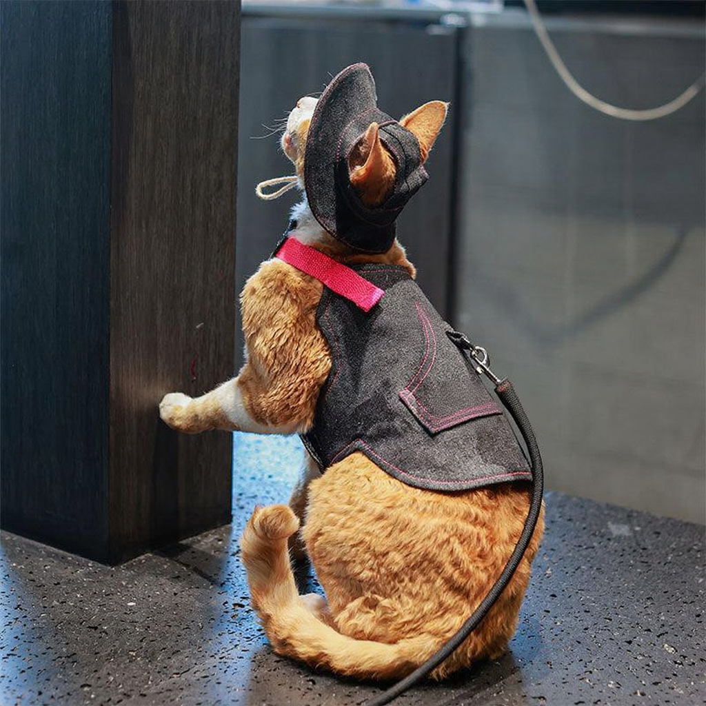 Catvera Cowboy Cat Harness Hat Set - Image 12|||PROMPT|||Cleaned image. Original analysis: Found 2 brand names/logos on the dog's harness/jacket: 'PINK POODLE' text and logo patches visible on the dark gray garment
