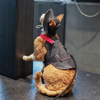 Catvera Cowboy Cat Harness Hat Set - Image 12|||PROMPT|||Cleaned image. Original analysis: Found 2 brand names/logos on the dog's harness/jacket: 'PINK POODLE' text and logo patches visible on the dark gray garment