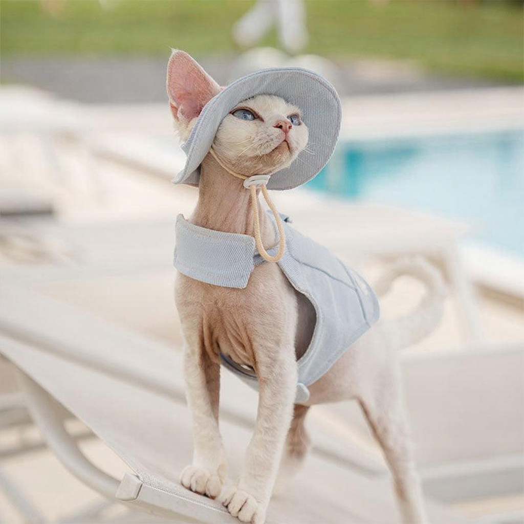 Catvera Cowboy Cat Harness Hat Set - Image 13|||PROMPT|||Cleaned image. Original analysis: Found 1 brand name stitched/printed on the product - 'BELLO' visible on the harness/collar area of the cat's outfit