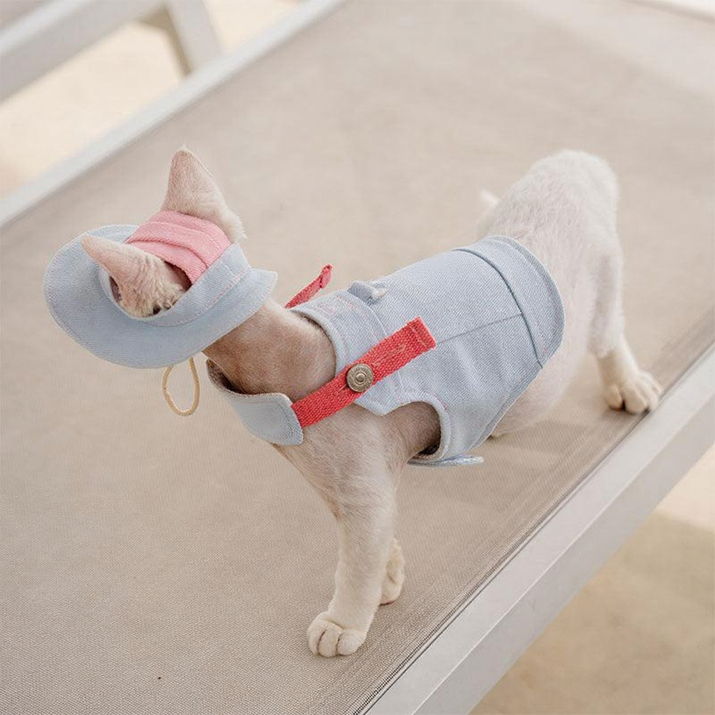 Catvera Cowboy Cat Harness Hat Set - Image 14|||PROMPT|||Cleaned image. Original analysis: Found brand logo/text on the pet clothing garment itself