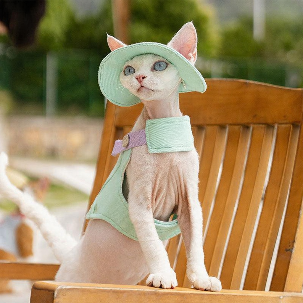 Catvera Cowboy Cat Harness Hat Set - Image 16|||PROMPT|||Cleaned image. Original analysis: Found 1 brand logo on the cat's harness/carrier and 1 watermark on the image