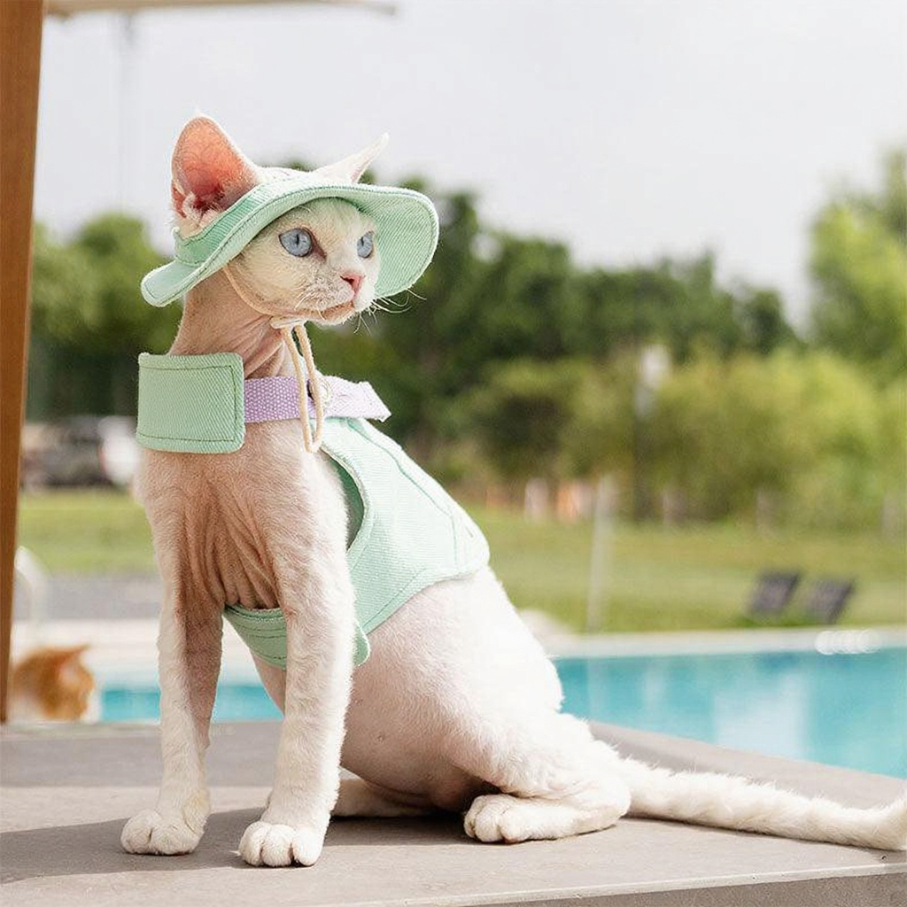 Catvera Cowboy Cat Harness Hat Set - Image 17|||PROMPT|||Cleaned image. Original analysis: Found 1 brand name directly printed on the product - 'PetFo' text visible on the harness/carrier worn by the cat