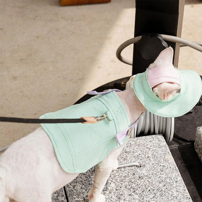 Catvera Cowboy Cat Harness Hat Set - Image 18|||PROMPT|||Cleaned image. Original analysis: Found brand name 'BELLO' stitched/printed on the mint green pet harness/carrier fabric on the left side of the product