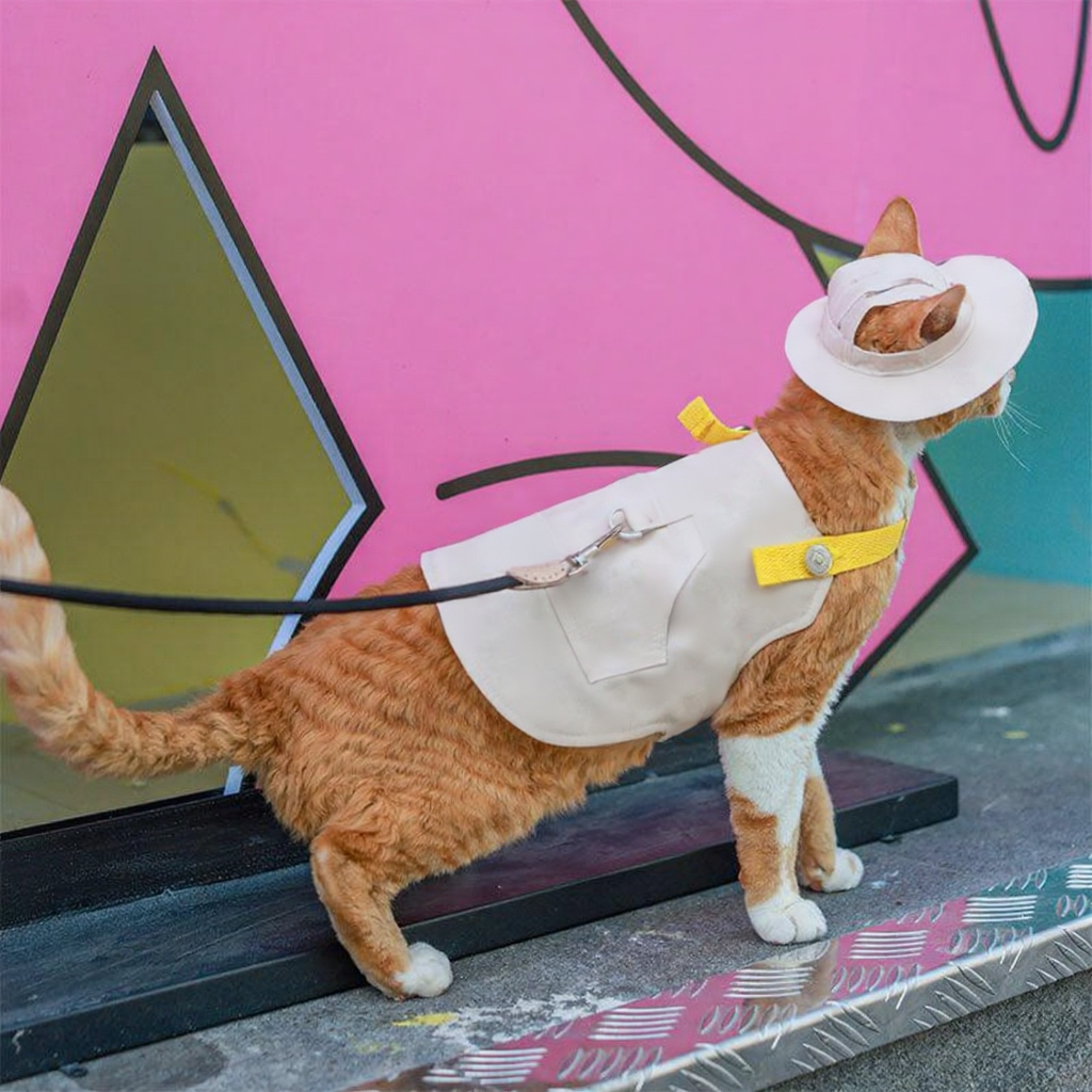 Catvera Cowboy Cat Harness Hat Set - Image 21|||PROMPT|||Cleaned image. Original analysis: Found brand name/logo on the cat's outfit/harness area and potentially on the decorative elements