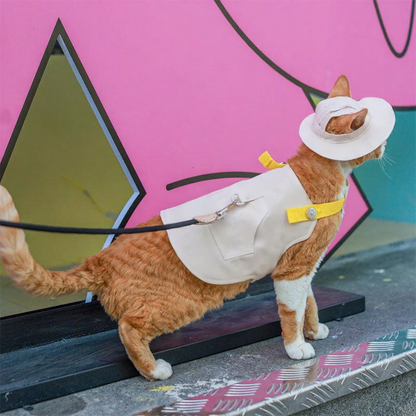Catvera Cowboy Cat Harness Hat Set - Image 21|||PROMPT|||Cleaned image. Original analysis: Found brand name/logo on the cat's outfit/harness area and potentially on the decorative elements