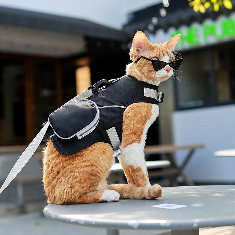 Catvera Cowboy Cat Harness Hat Set - Image 25|||PROMPT|||Original clean product image