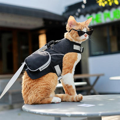 Catvera Cowboy Cat Harness Hat Set - Image 25|||PROMPT|||Original clean product image