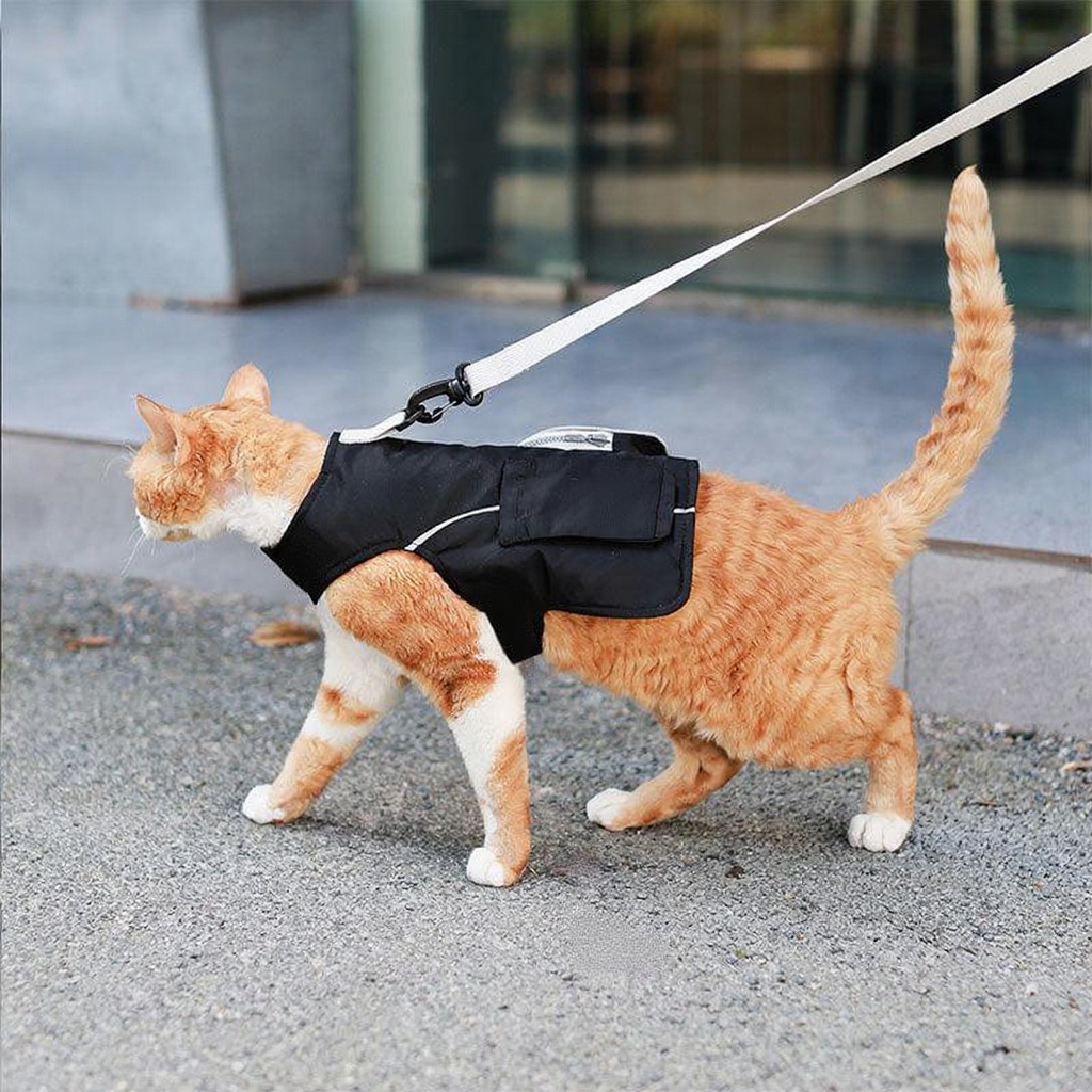 Catvera Cowboy Cat Harness Hat Set - Image 26|||PROMPT|||Cleaned image. Original analysis: Found 1 brand logo on the cat harness/backpack itself