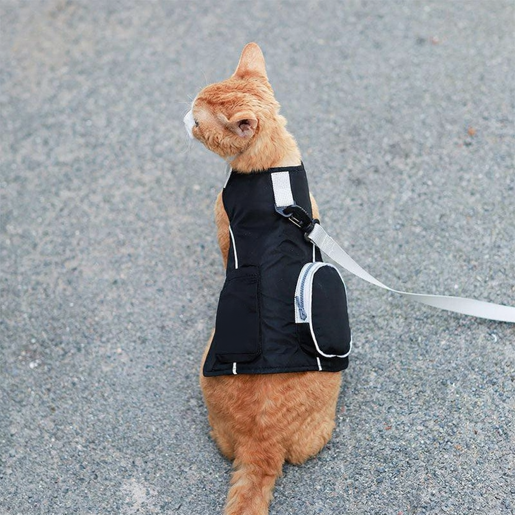 Catvera Cowboy Cat Harness Hat Set - Image 27|||PROMPT|||Cleaned image. Original analysis: Found 1 brand logo on the dog harness/vest itself