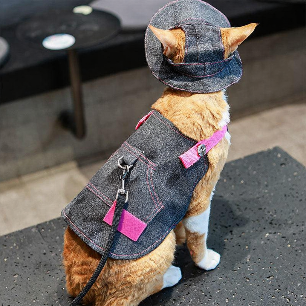 Catvera Cowboy Cat Harness Hat Set - Image 29|||PROMPT|||Cleaned image. Original analysis: Found 1 brand logo on the product - a circular badge/emblem visible on the denim jacket/harness worn by the dog