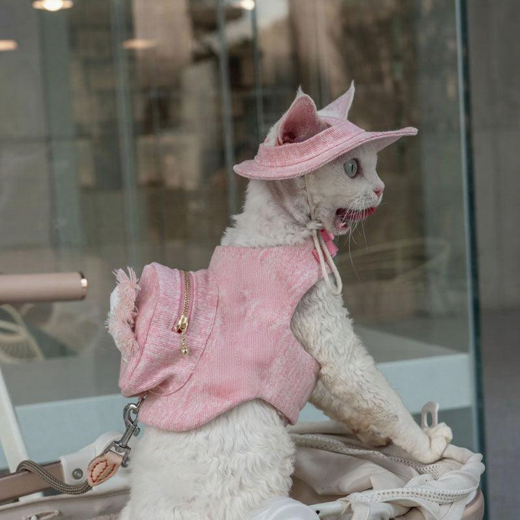 Catvera Cowboy Cat Harness Hat Set - Image 3|||PROMPT|||Cleaned image. Original analysis: Found colorful embroidered/stitched branding on the pink vest/harness worn by the cat, including what appears to be decorative elements and possibly brand indicators on the fabric itself