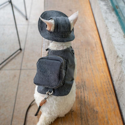 Catvera Cowboy Cat Harness Hat Set - Image 8|||PROMPT|||Cleaned image. Original analysis: Found 2 brand names stitched/printed directly on the product: 'GINGERBRAIN' on the backpack/carrier and 'DREAM' on the harness/vest area