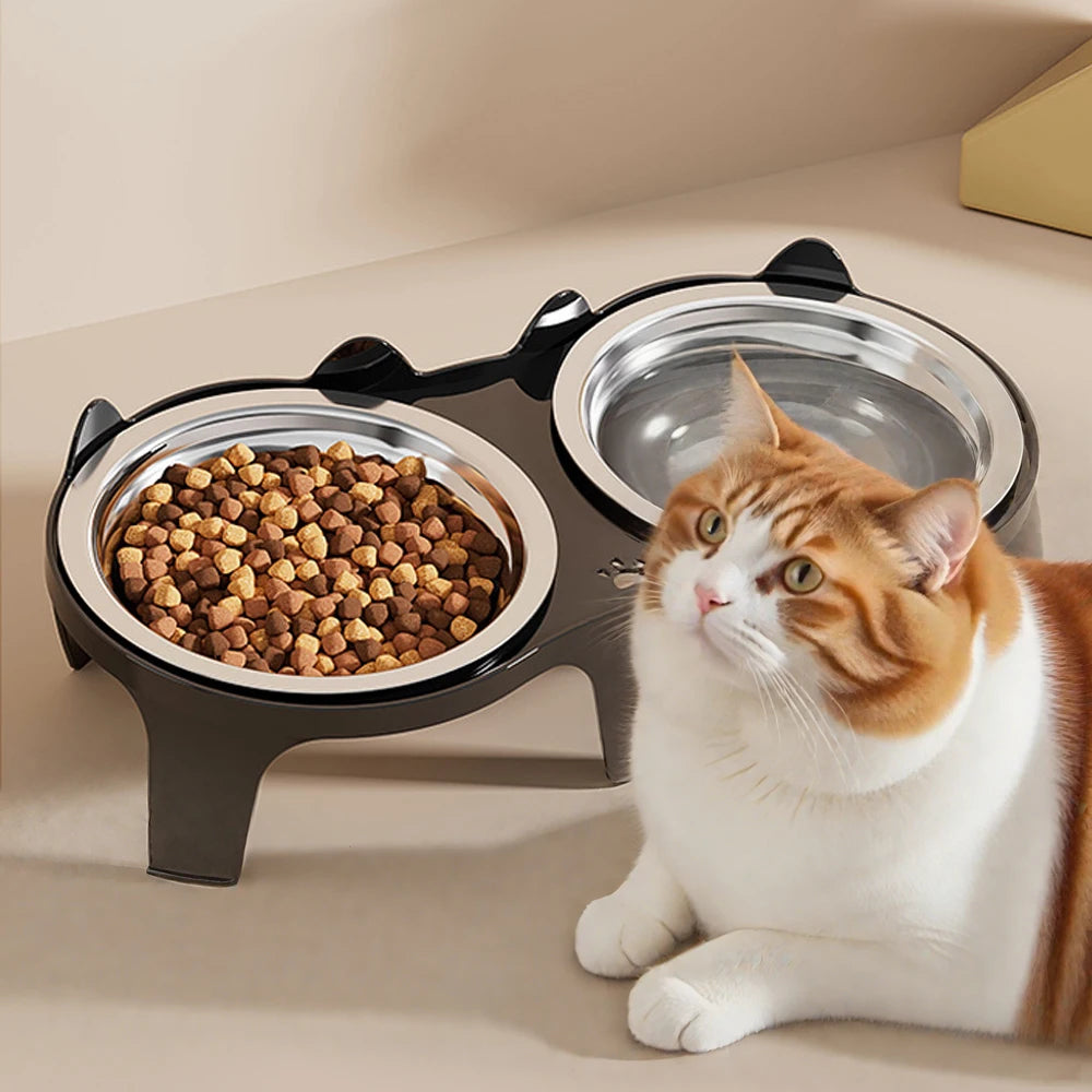 Catvera Elevated Double Bowl Feeder - Image 1|||PROMPT|||Original clean product image