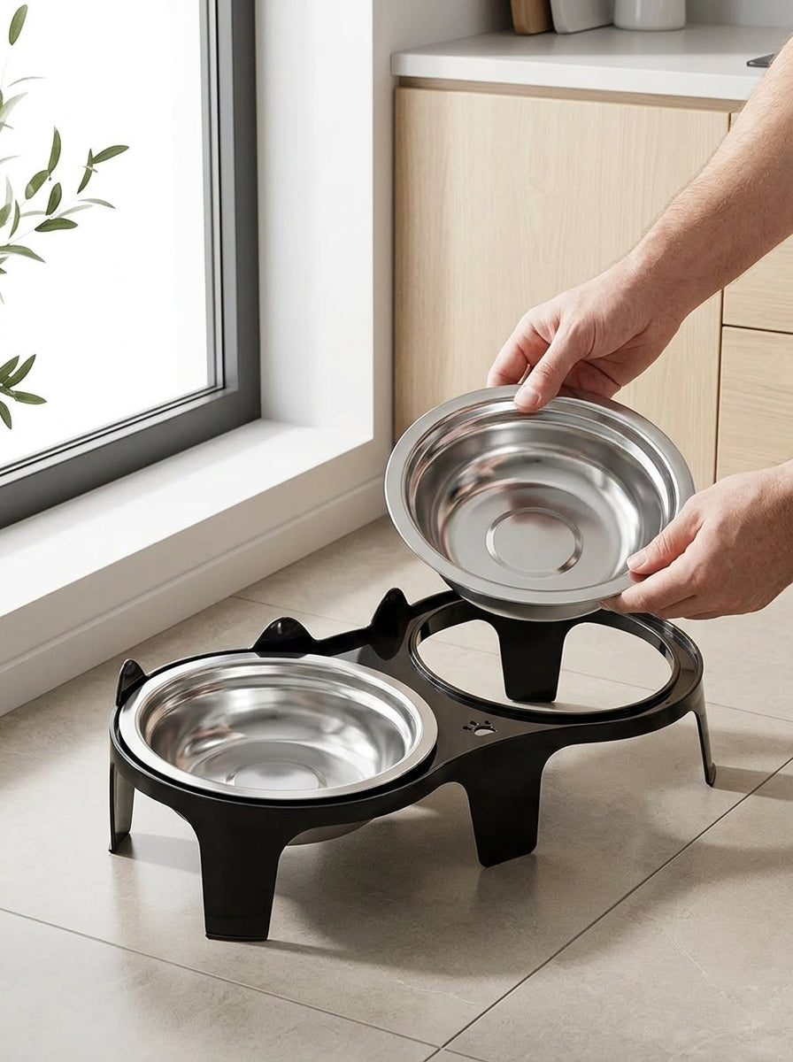 Catvera Elevated Double Bowl Feeder - Premium Stainless Steel Construction