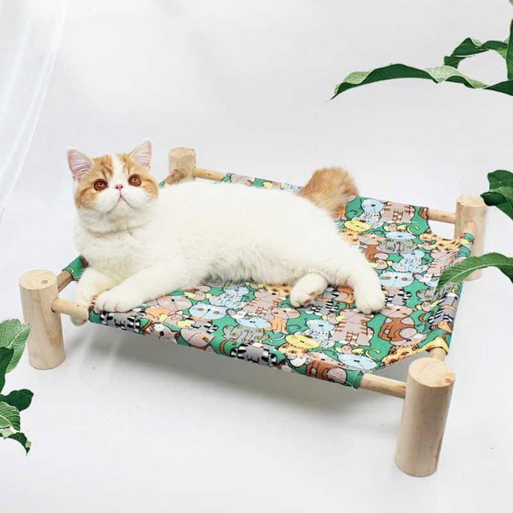 Catvera Elevated Summer Cat Hammock - Image 13|||PROMPT|||Cleaned image. Original analysis: found 1 watermark - 'MEWCATS' text overlay in white at top left corner