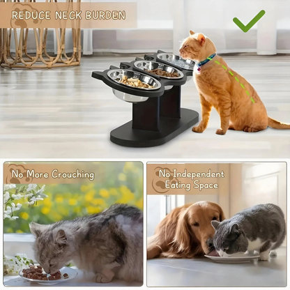 Catvera Elevated Triple Bowl Feeding Station - Image 2|||PROMPT|||Cleaned image. Original analysis: Found 1 paw print logo on the product base. All text overlays are informational labels without brand names.