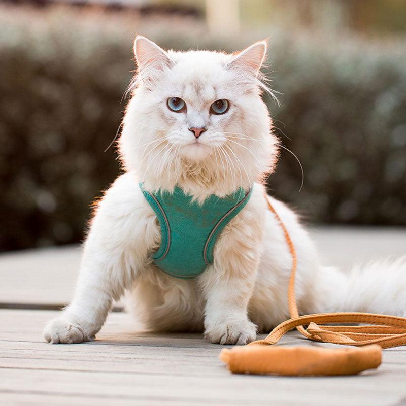 Catvera Escape Proof Cat Harness - Image 5|||PROMPT|||Original clean product image