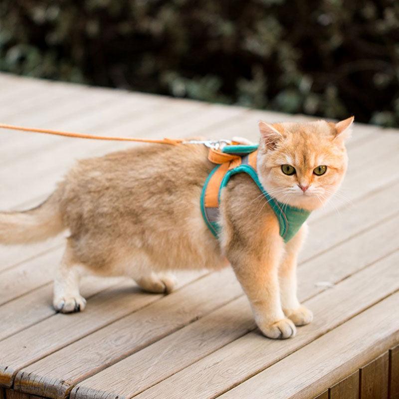 Catvera Escape Proof Cat Harness - Image 7|||PROMPT|||Original clean product image
