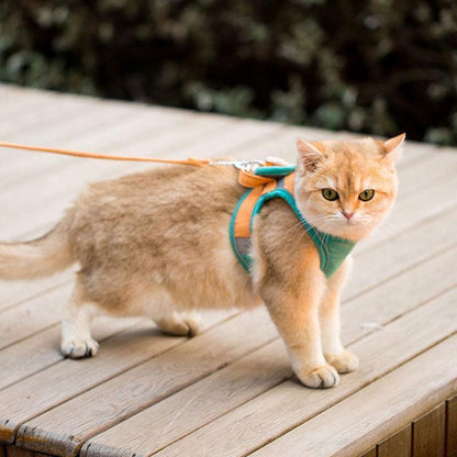 Catvera Escape Proof Cat Harness - Image 7|||PROMPT|||Original clean product image