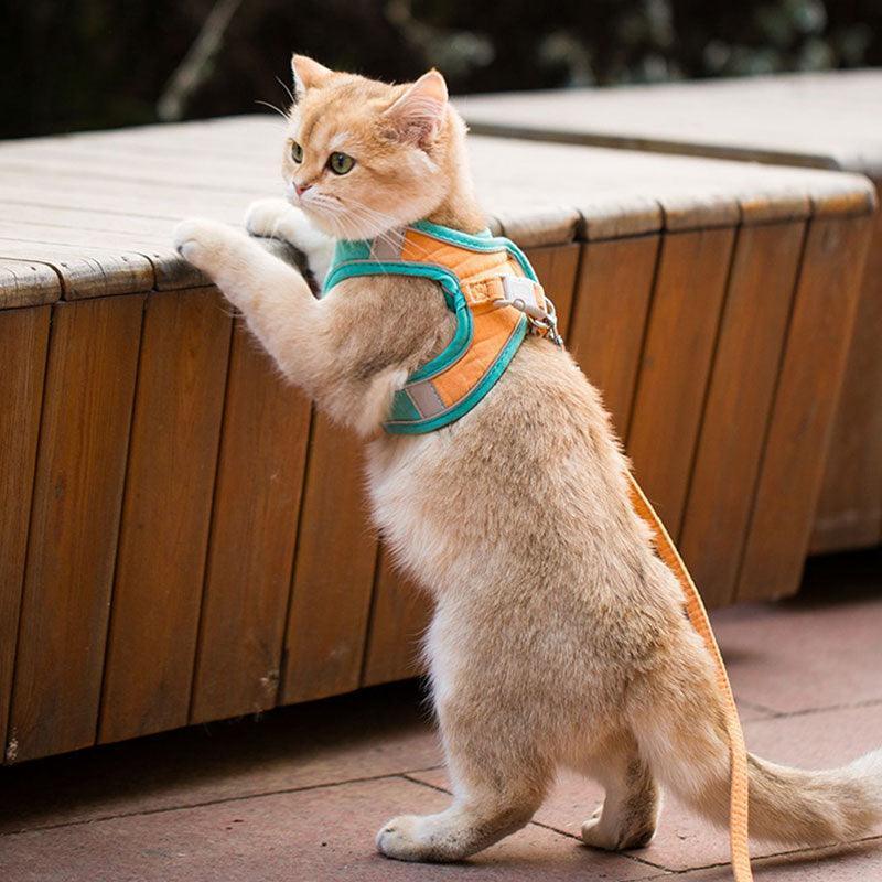 Catvera Escape Proof Cat Harness - Image 8|||PROMPT|||Original clean product image