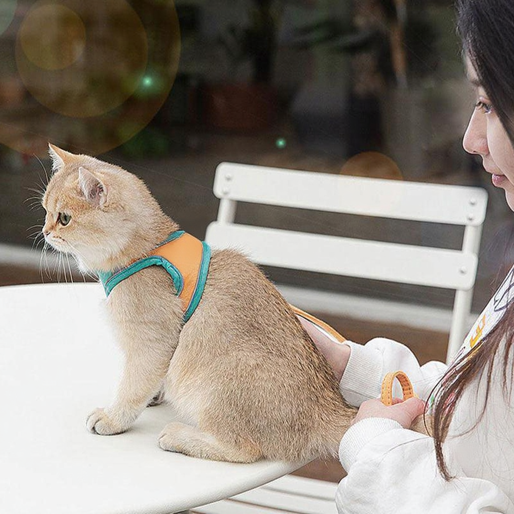 Catvera Escape Proof Cat Harness - Image 9|||PROMPT|||Original clean product image