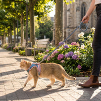 Catvera Escape Proof Cat Harness - Main Product Image