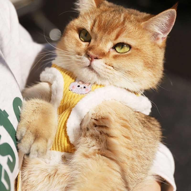 Catvera Escape Proof Cat Harness Vest - Image 12|||PROMPT|||Original clean product image