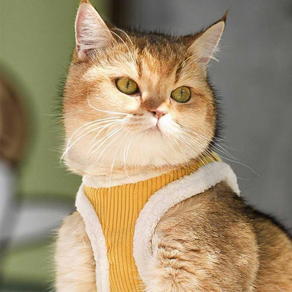 Catvera Escape Proof Cat Harness Vest - Image 14|||PROMPT|||Cleaned image. Original analysis: Found 1 brand name/logo stitched on the cat's harness/clothing