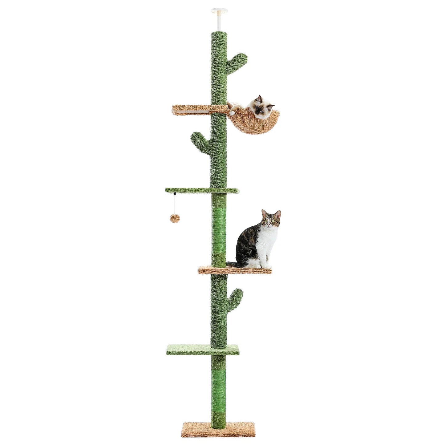 Catvera Floor Ceiling Cactus Cat Tree - Image 7|||PROMPT|||Original clean product image