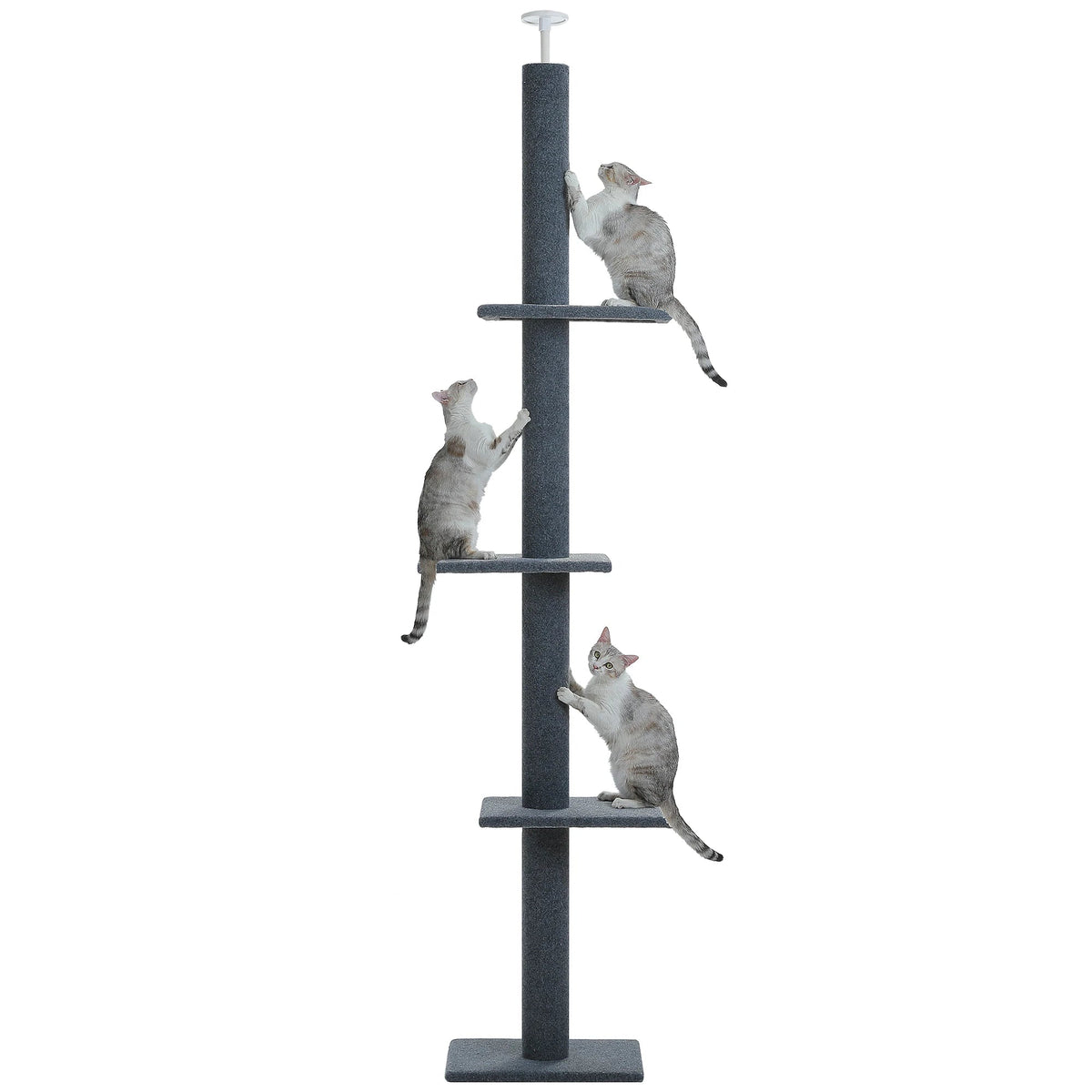 Catvera Floor to Ceiling Cat Tree - Image 1|||PROMPT|||Original clean product image