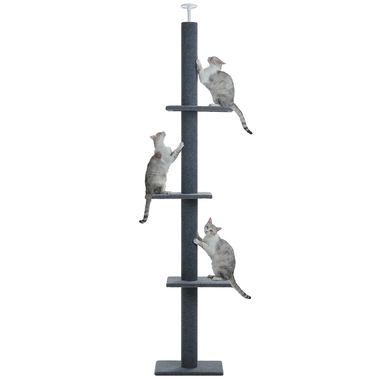 Catvera Floor to Ceiling Cat Tree - Image 1|||PROMPT|||Original clean product image
