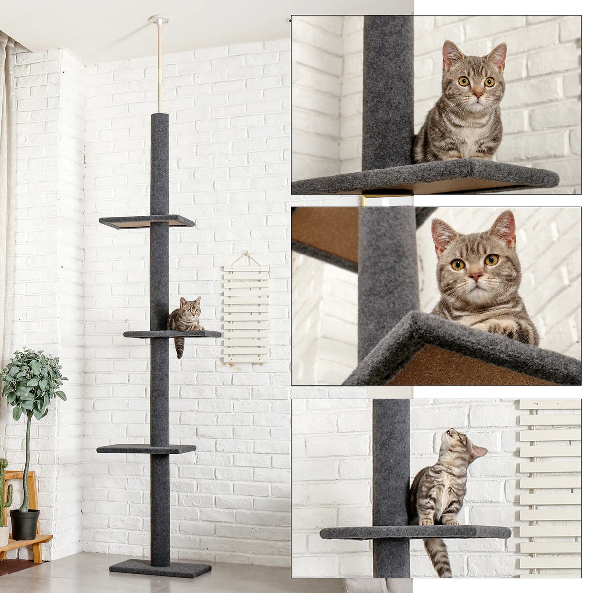 Catvera Floor to Ceiling Cat Tree - Image 2|||PROMPT|||Original clean product image