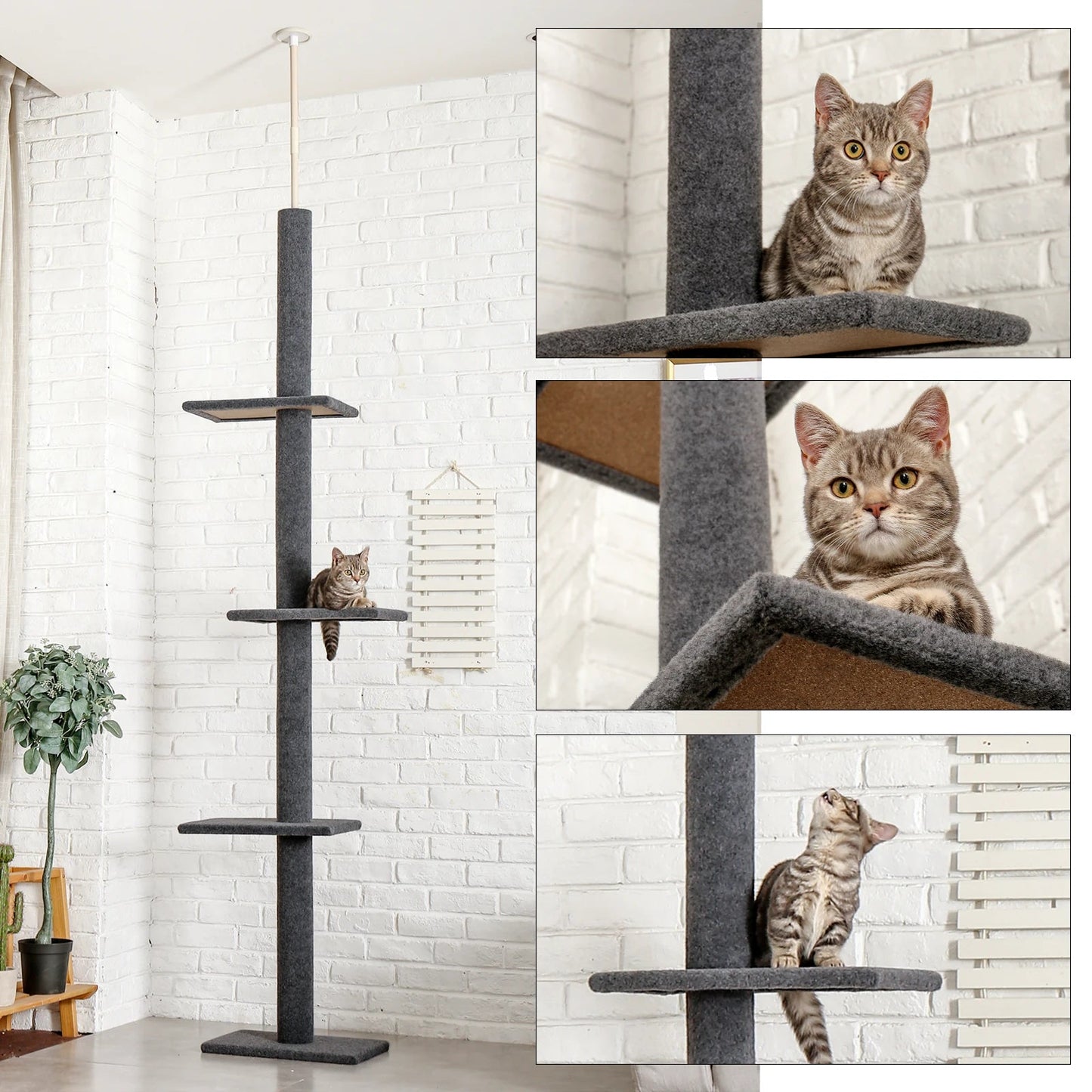 Catvera Floor to Ceiling Cat Tree - Image 2|||PROMPT|||Original clean product image