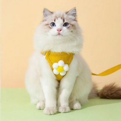 Catvera Floral Cat Harness Leash Set - Image 12|||PROMPT|||Original clean product image