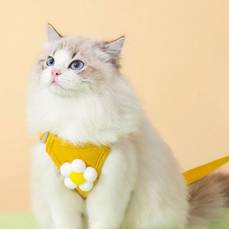 Catvera Floral Cat Harness Leash Set - Image 2|||PROMPT|||Original clean product image