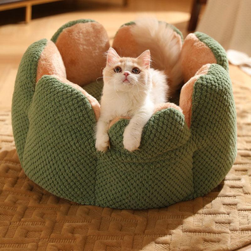 Catvera Flower Nest Cat Bed - Image 1|||PROMPT|||Original clean product image