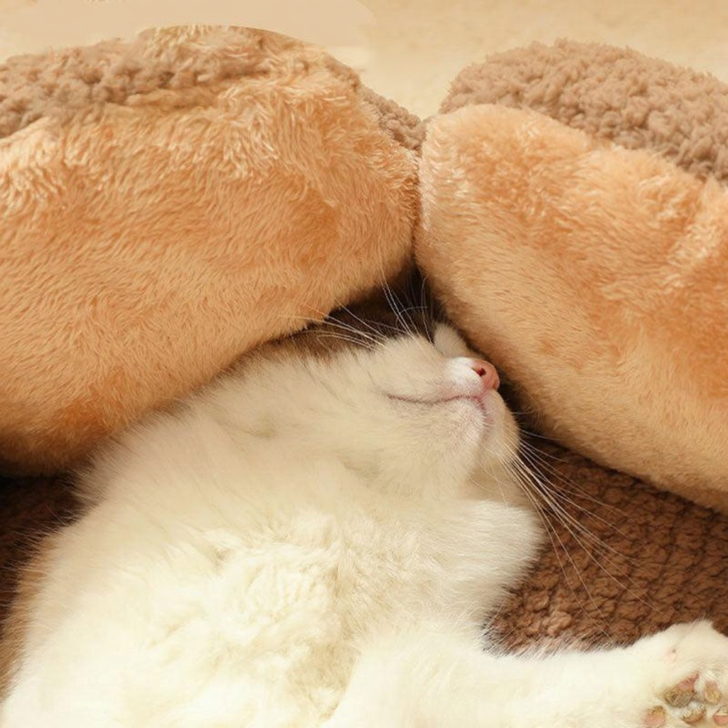 Catvera Flower Nest Cat Bed - Image 5|||PROMPT|||Cleaned image. Original analysis: found text overlays with promotional messaging but no brand names or logos on the product itself